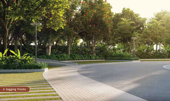 2 Jogging Tracks